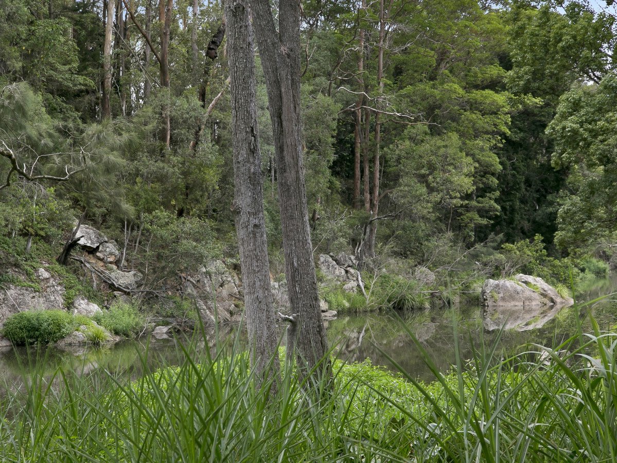 25 Maybree Close Tallebudgera Valley 24