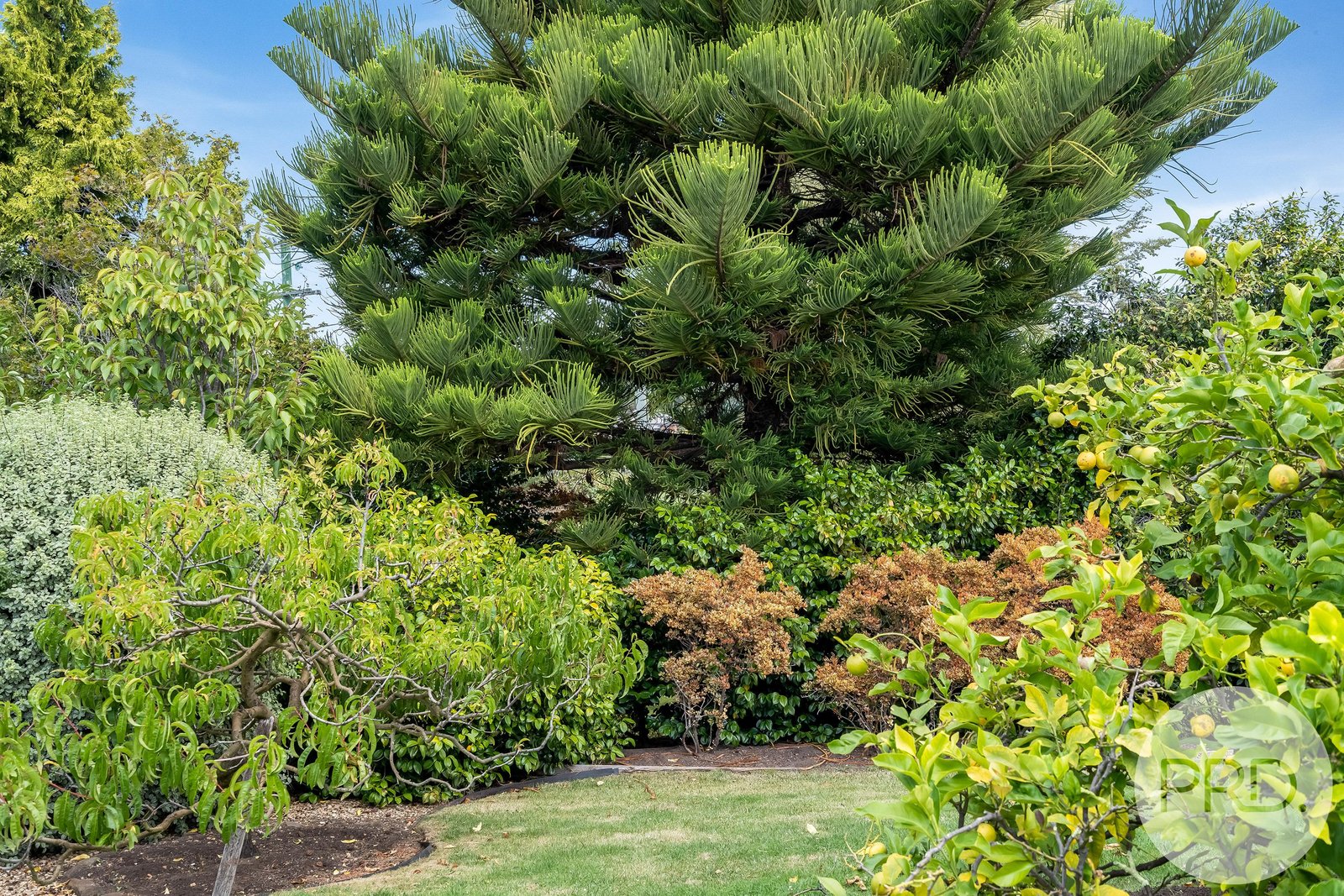 25 Meath Avenue TAROONA 30