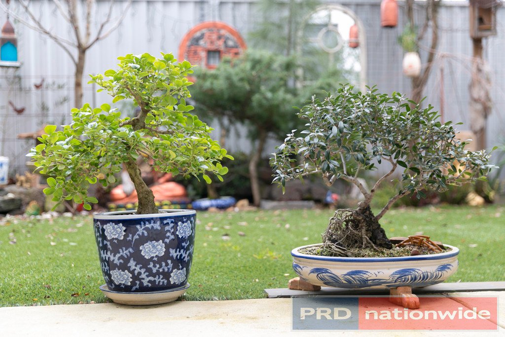 25 Monteith Place BALLARAT CENTRAL 15