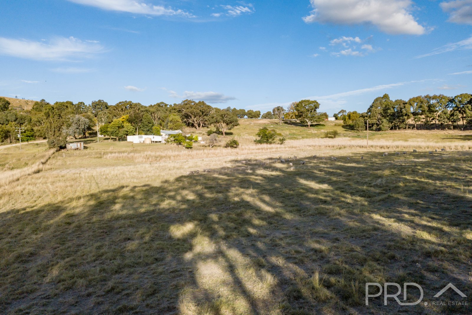 25 Old Gundagai Road ADELONG 18