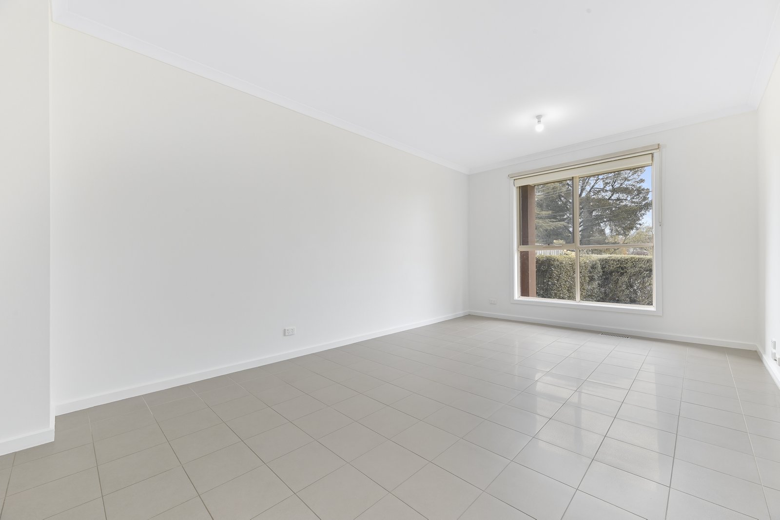 Gallery: 2/5 Pine Tree Avenue