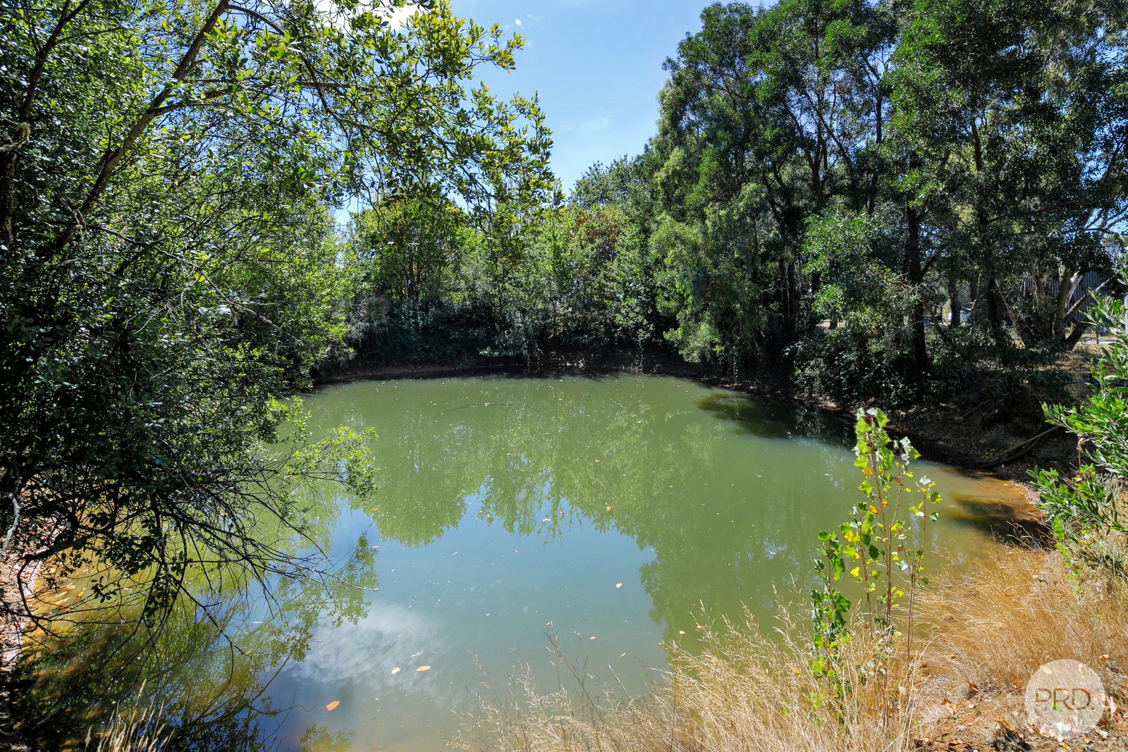 25 Pope Street YENDON 20