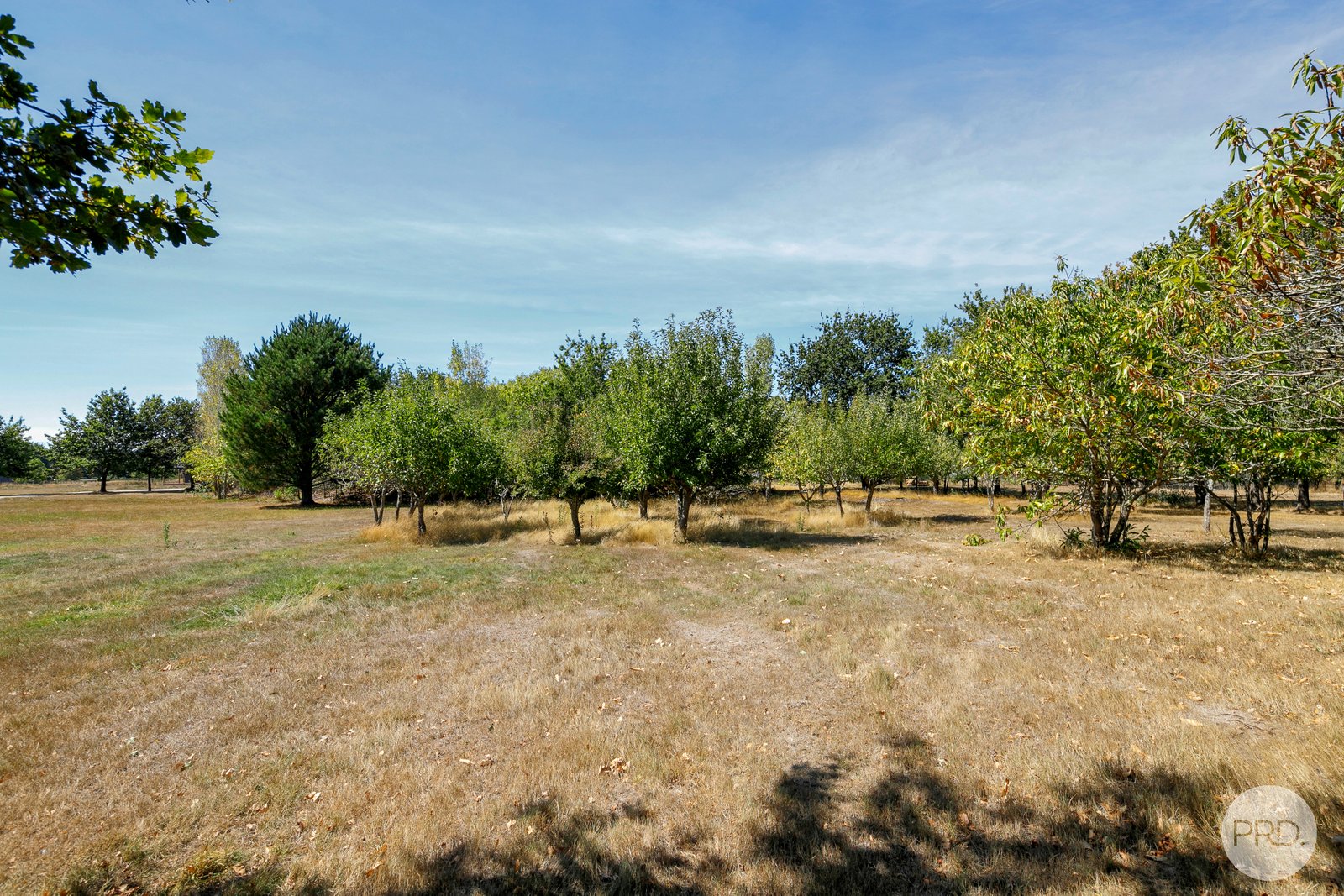 25 Pope Street YENDON 22