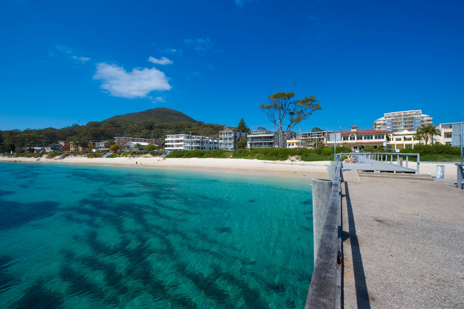 25 Rigney Street SHOAL BAY 8