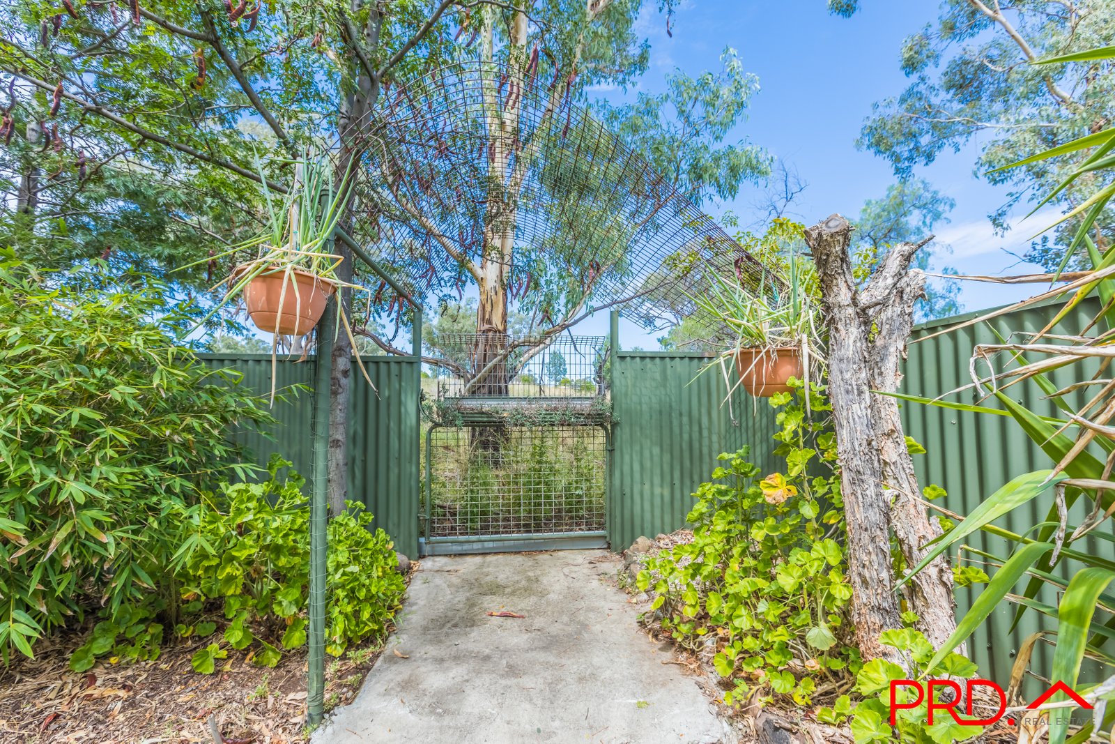 25 Russell Street WERRIS CREEK 23