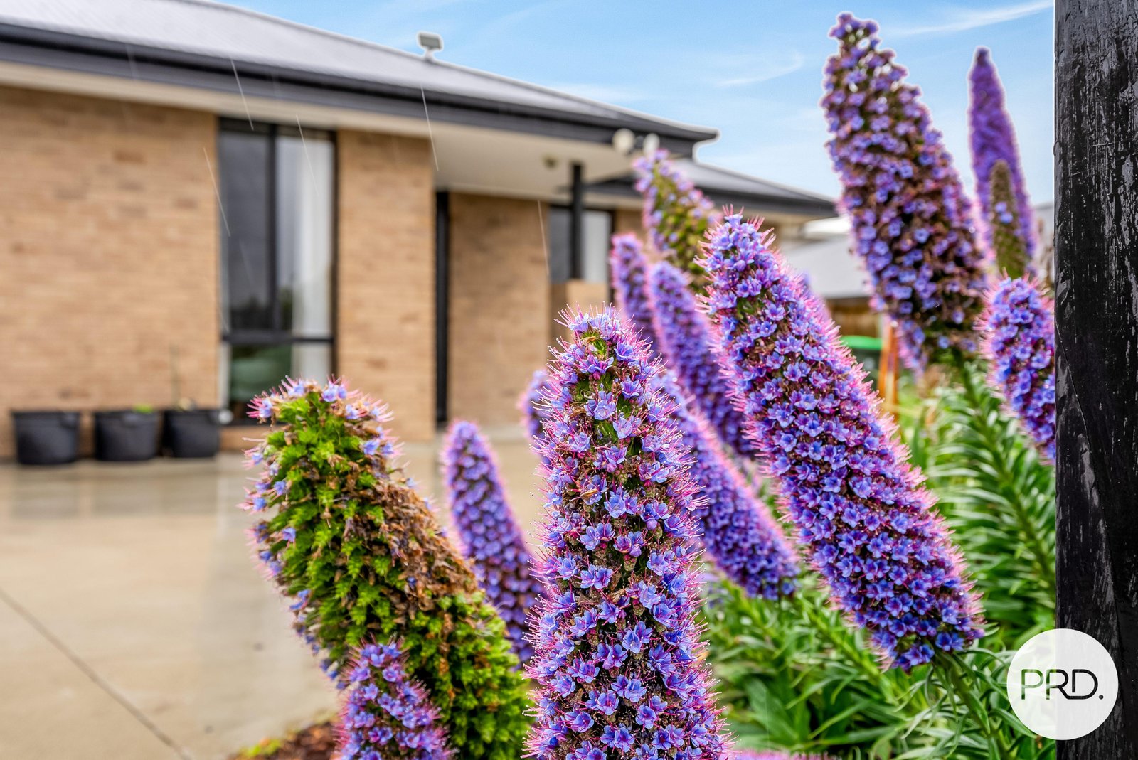 25 Saladin Circle CLARENDON VALE 13