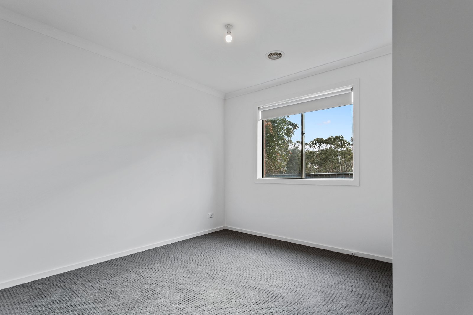 25 Saltbush Street JACKASS FLAT 8