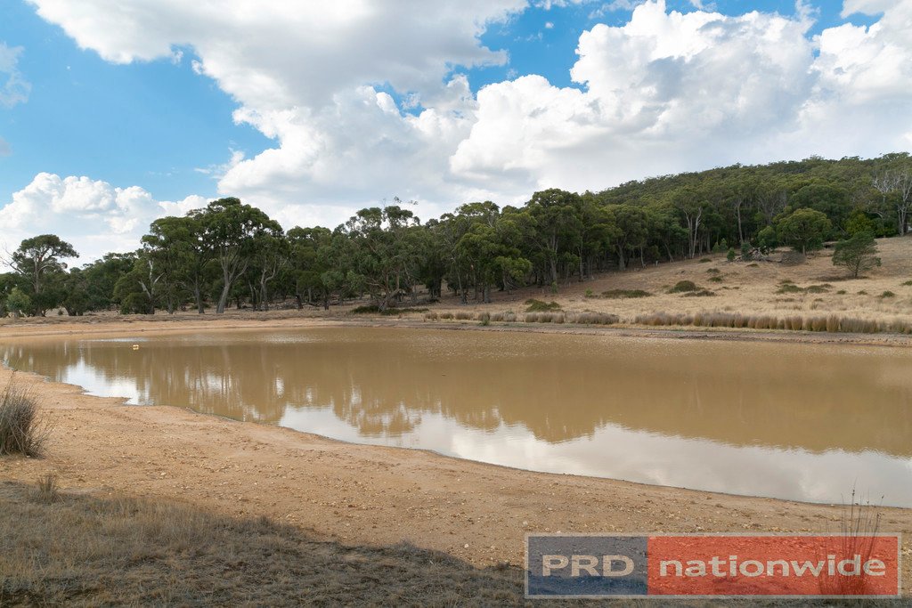 25 Sharrocks Road MOUNT EGERTON 10