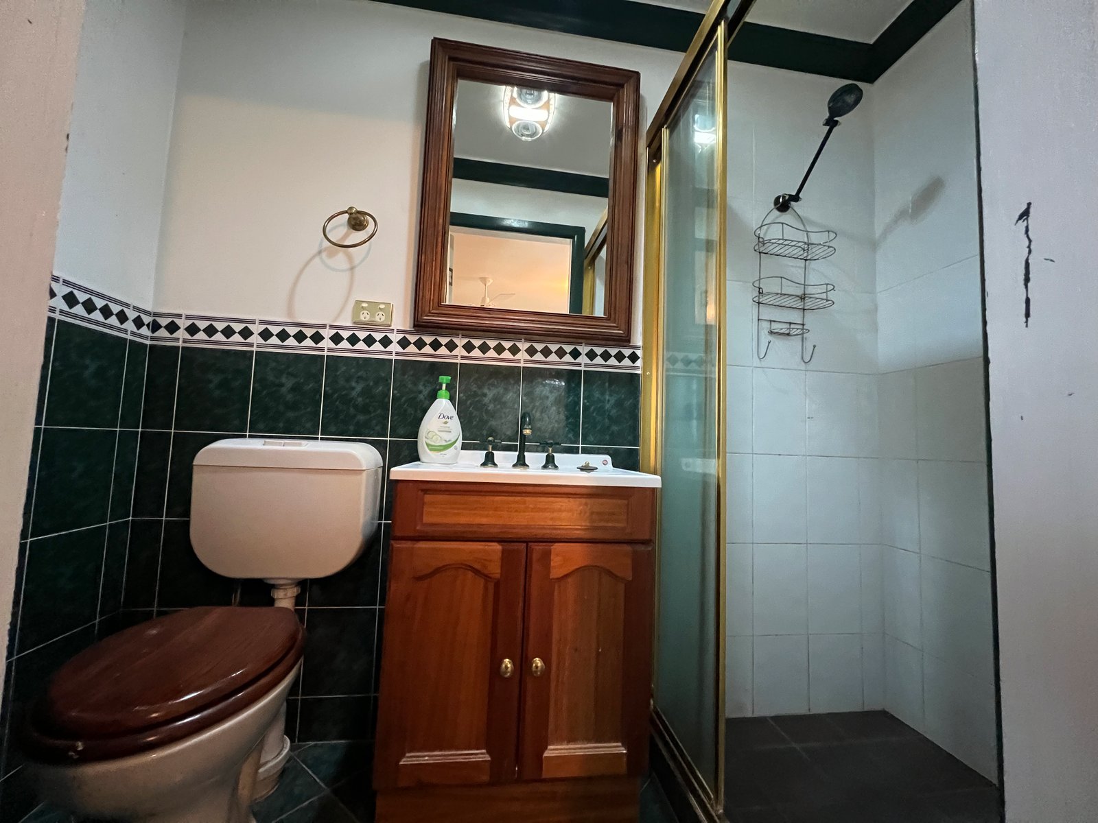 25 Simpson Street QUIRINDI 6