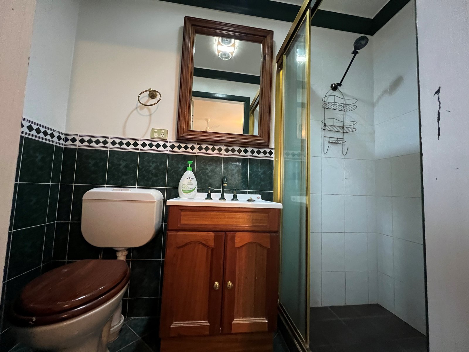 25 Simpson Street QUIRINDI 9