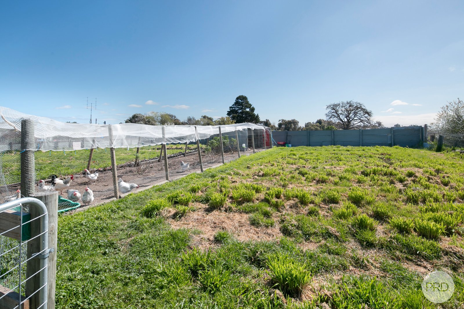 25 Smeaton Road CLUNES 17