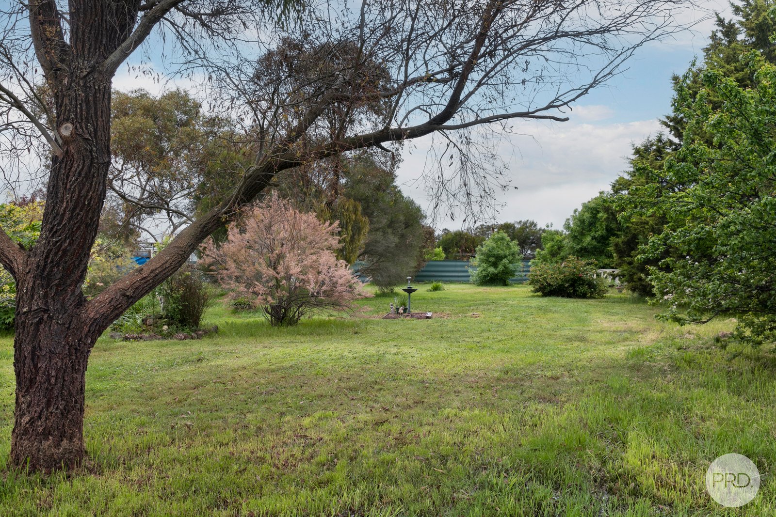 25 Suburban Street CLUNES 19