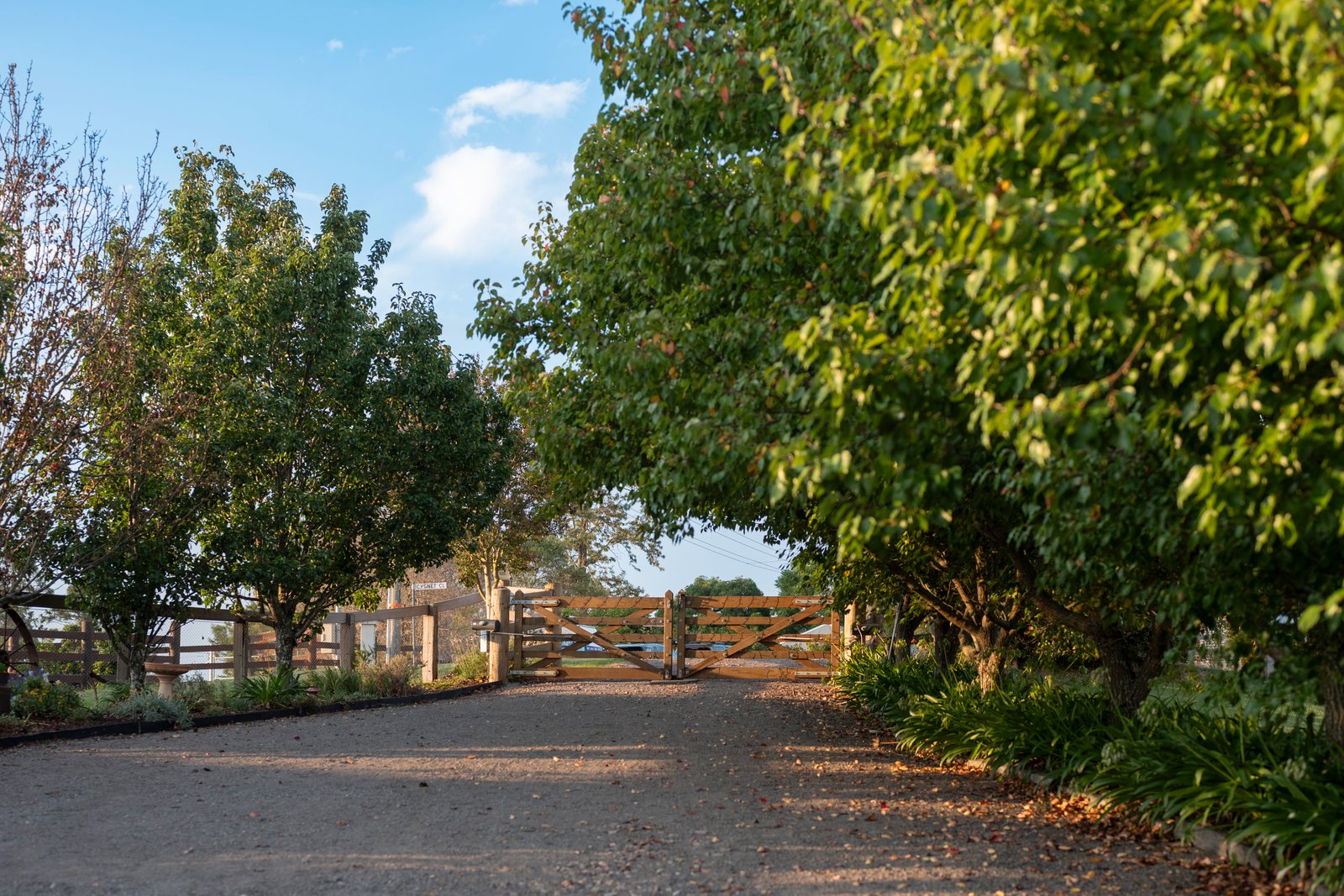 25 Swan Street HINTON 32