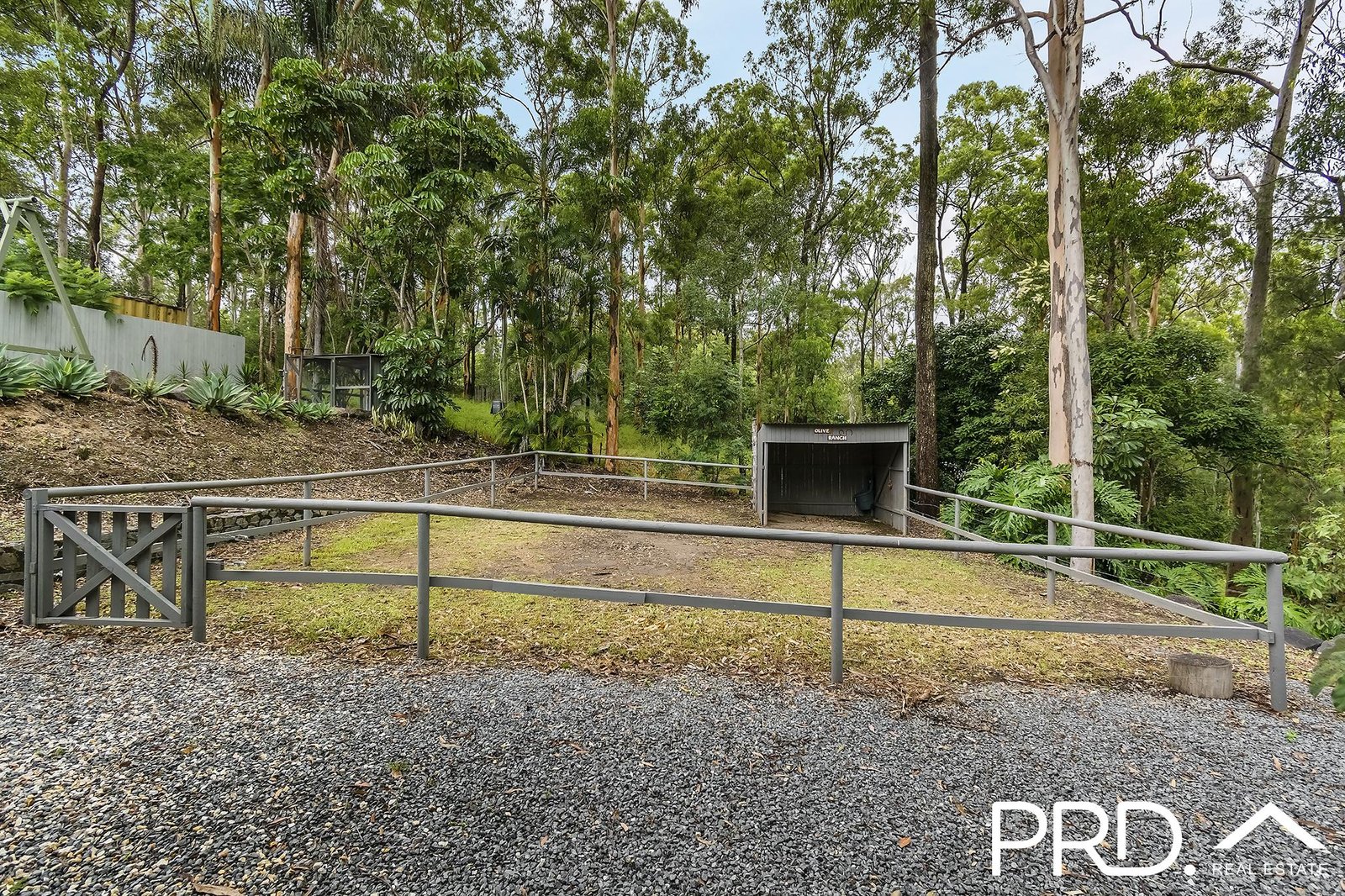 25 Tarrant Drive MUDGEERABA 14
