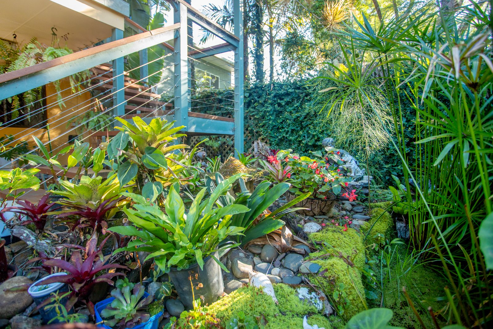 25 The Boulevarde  DUNBOGAN 21