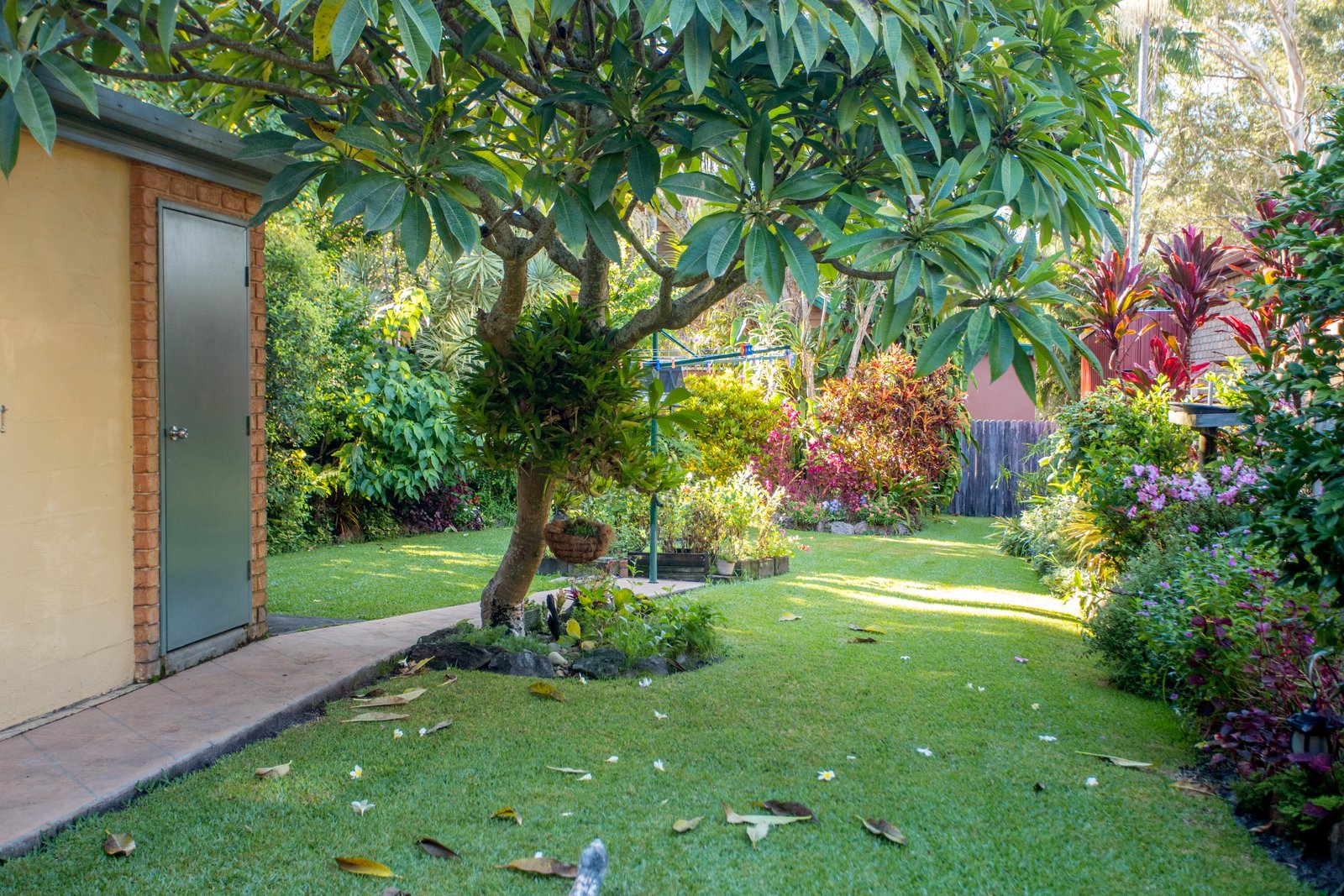 25 The Boulevarde  DUNBOGAN 23