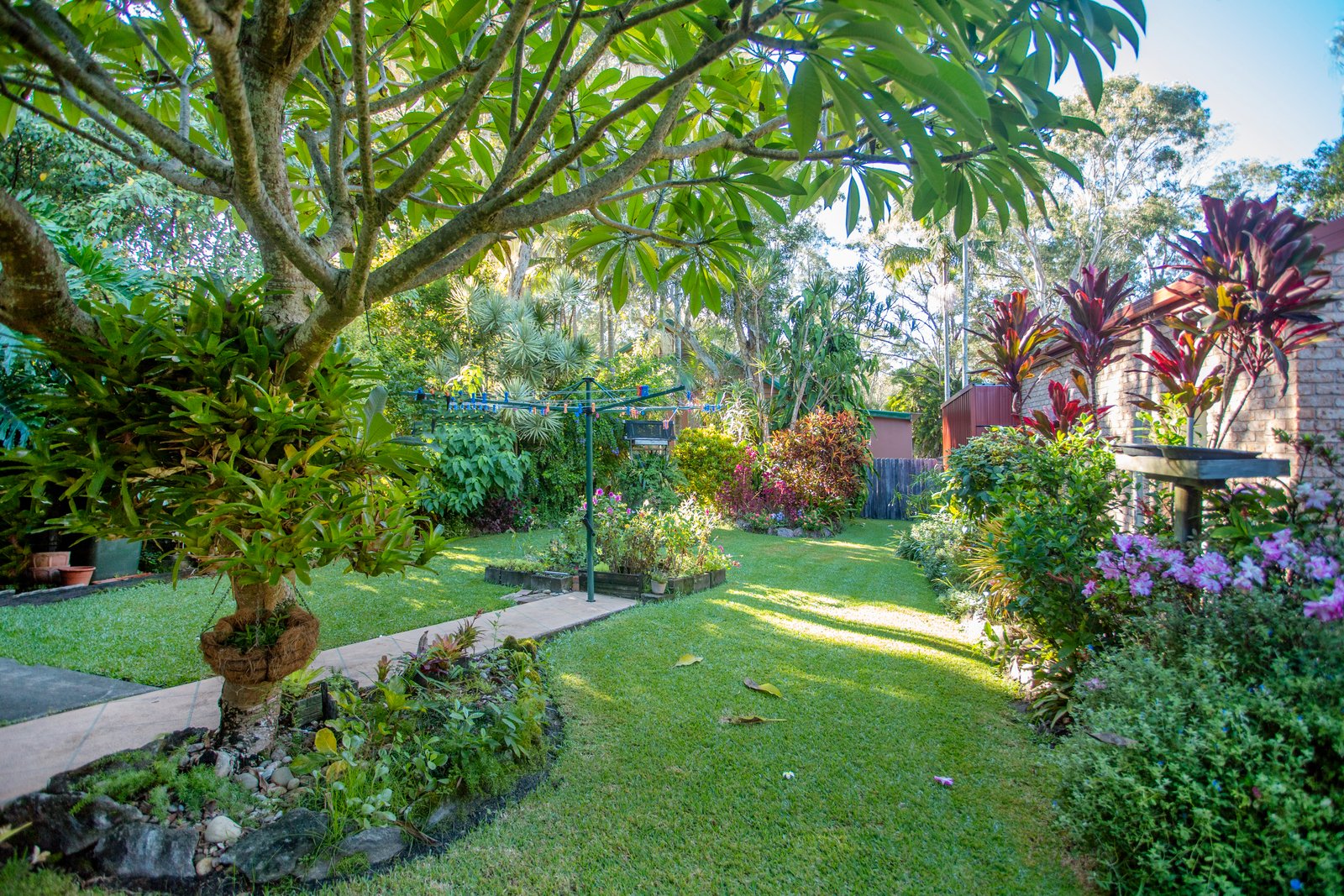 25 The Boulevarde  DUNBOGAN 24