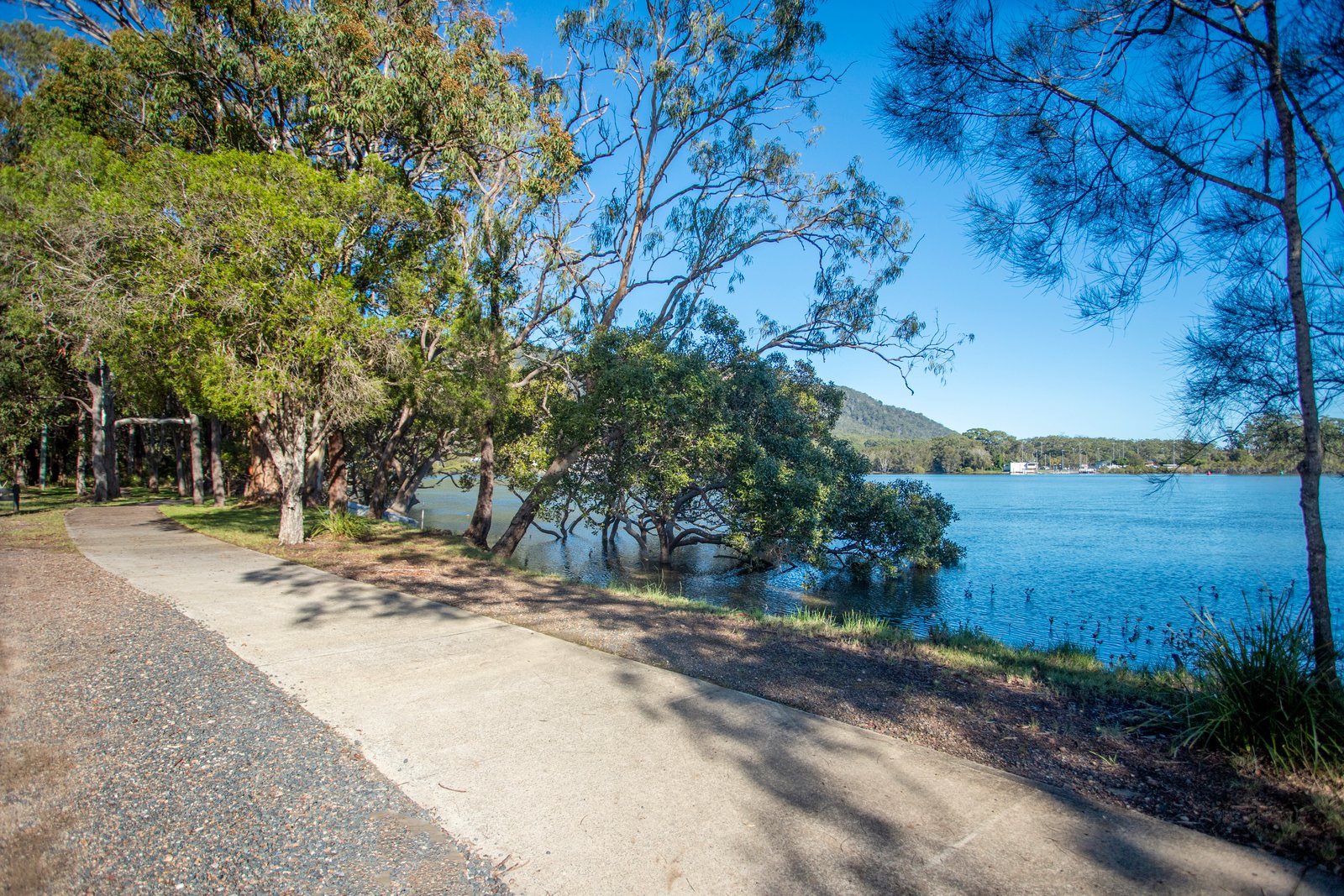 25 The Boulevarde  DUNBOGAN 32