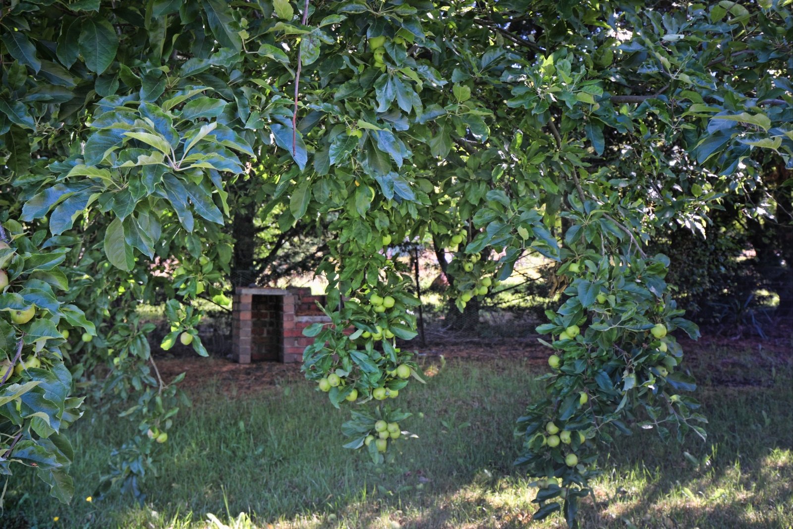 Real Estate and Property in 25 Three Chain Road, Carlsruhe, VIC