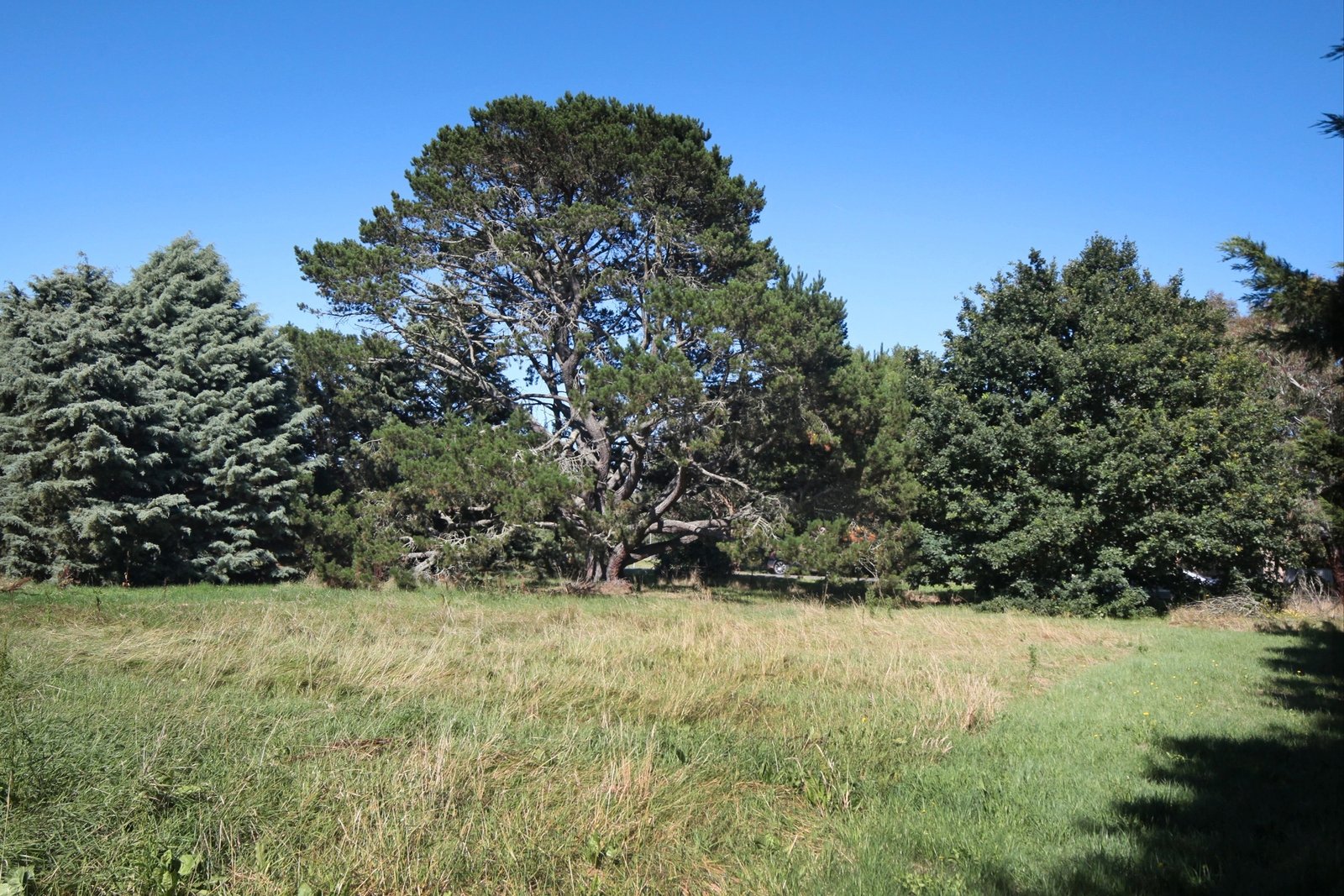 Real Estate and Property in 25 Three Chain Road, Carlsruhe, VIC