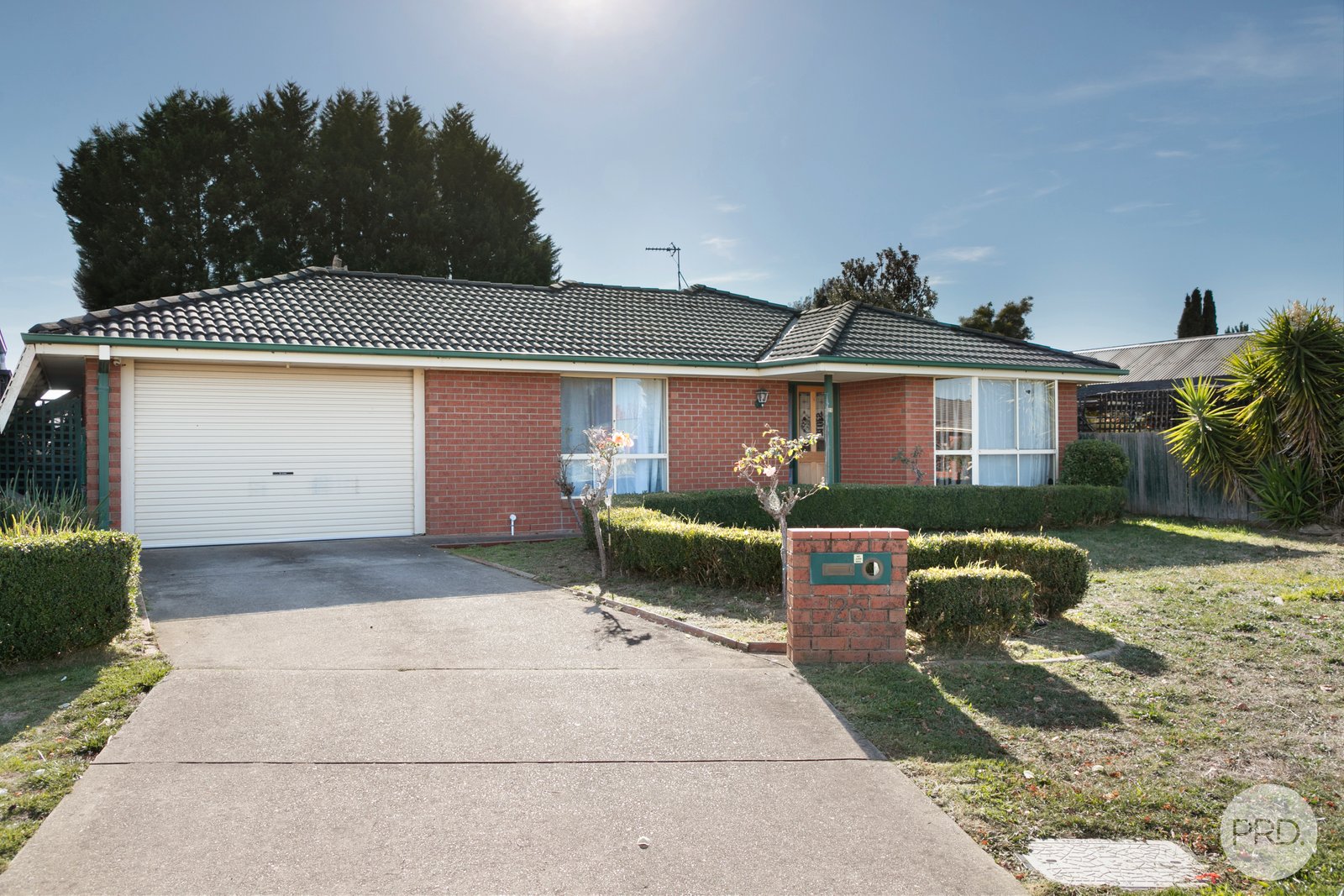 25 Webster Drive SEBASTOPOL 1