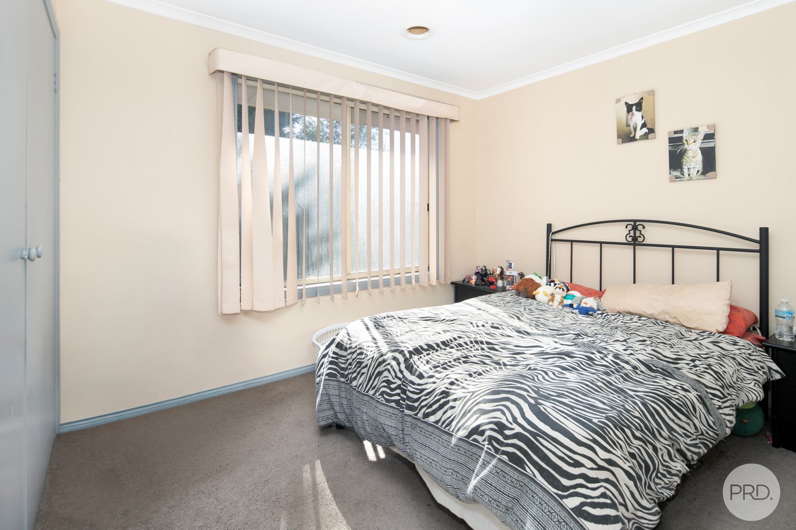 25 Webster Drive SEBASTOPOL 5