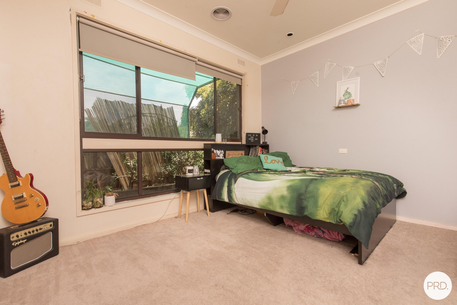 25 Windsor Street MILDURA 10