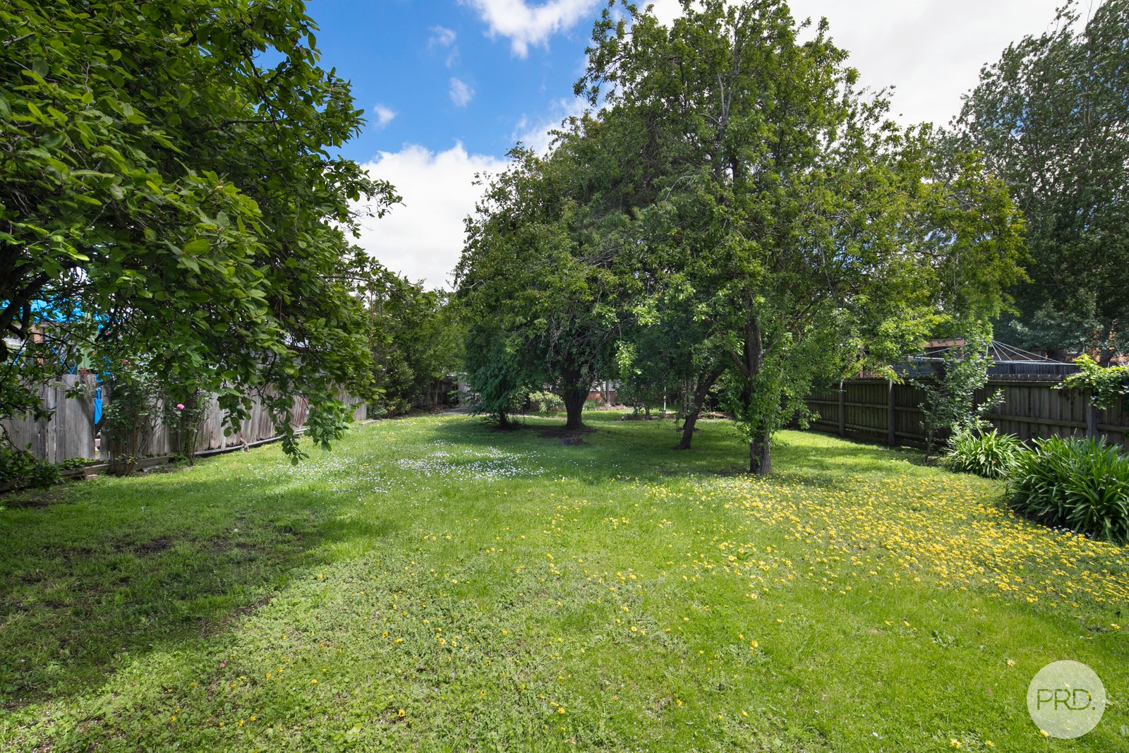 25 York Street GOLDEN POINT 12