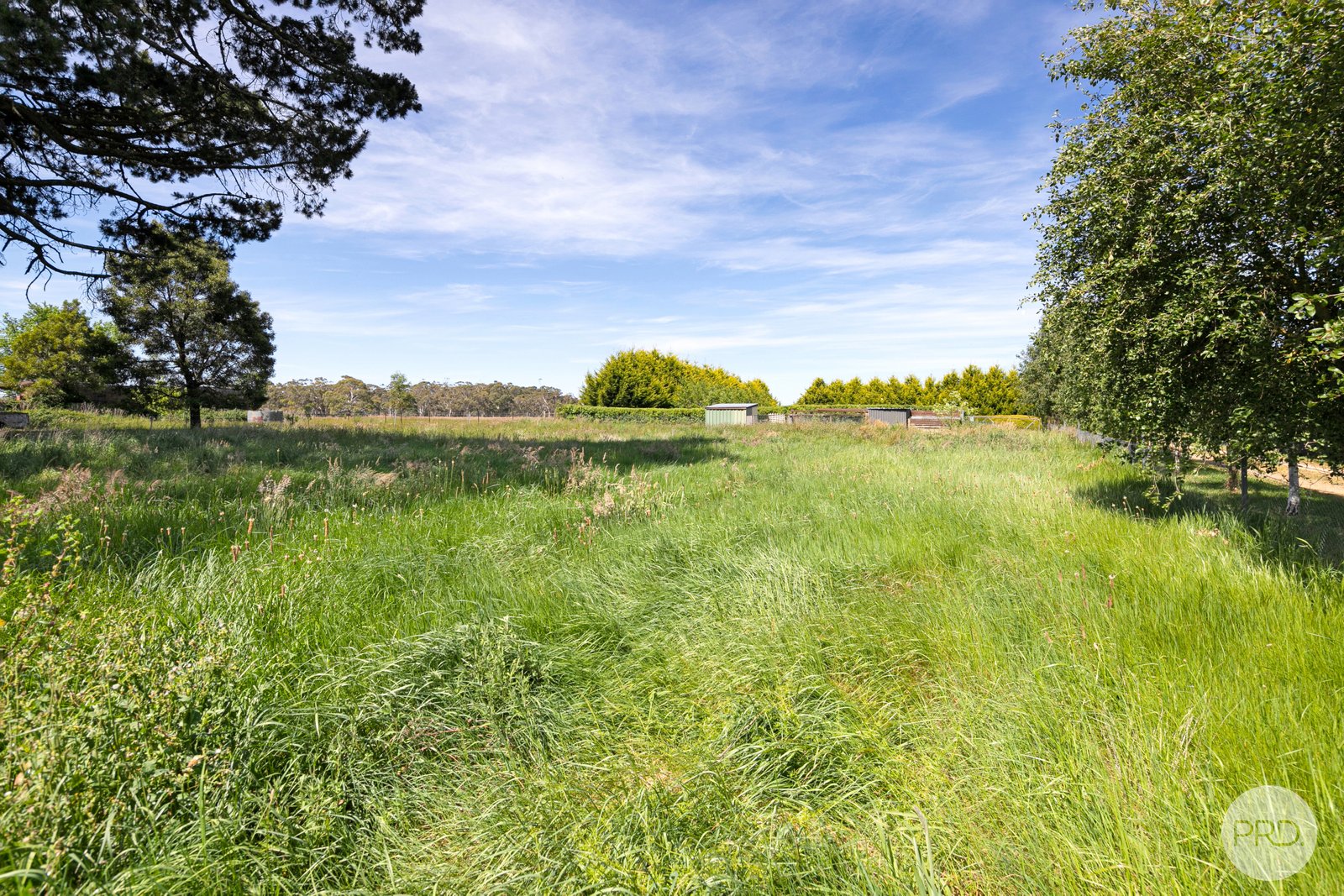 250 Clarkes Road GLEN PARK 12