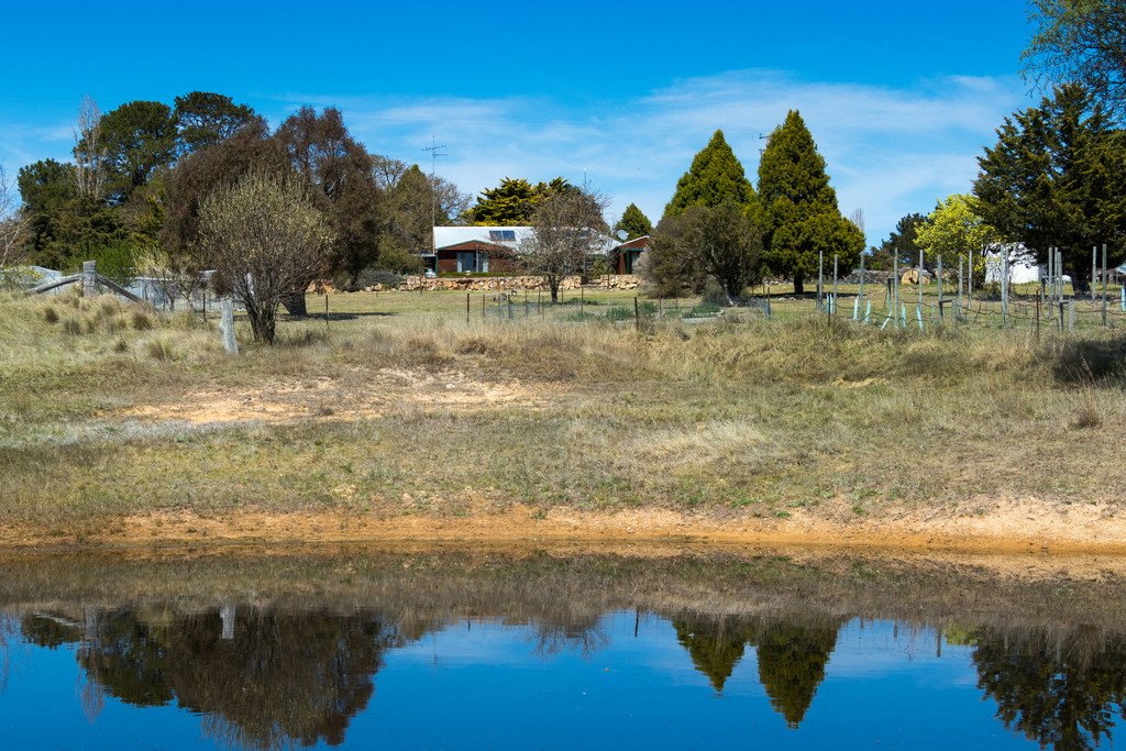 250 Taylors Creek Road TARAGO 5