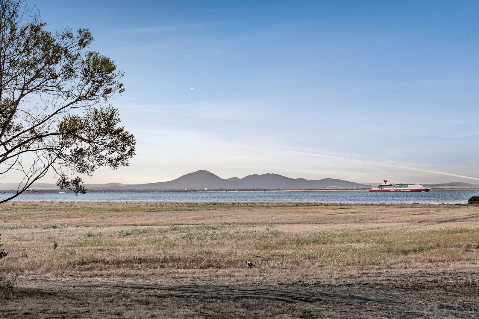 Real Estate and Property in 251-259 Clifton Avenue, Leopold, VIC