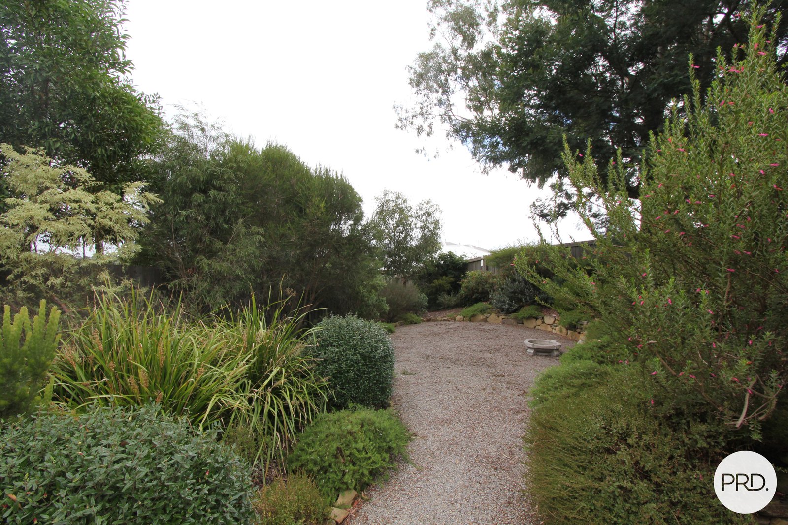 252 Elsworth Street West  MOUNT PLEASANT 14
