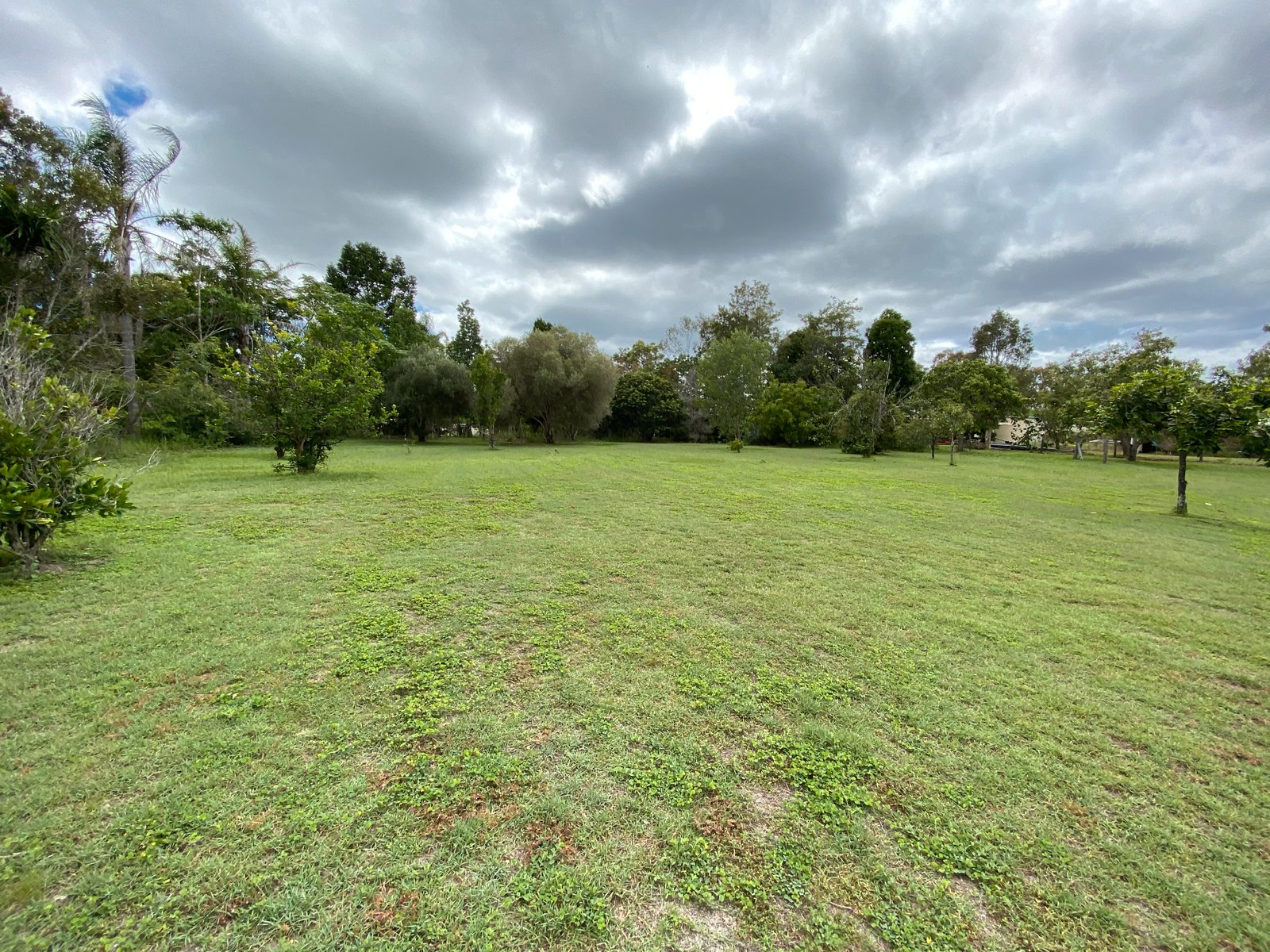 252 MESSMATE Drive MIRIAM VALE 4