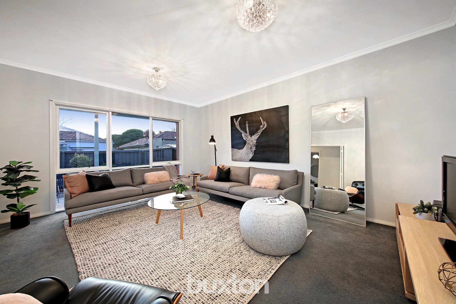 Gallery: 2/52 Moylan Street
