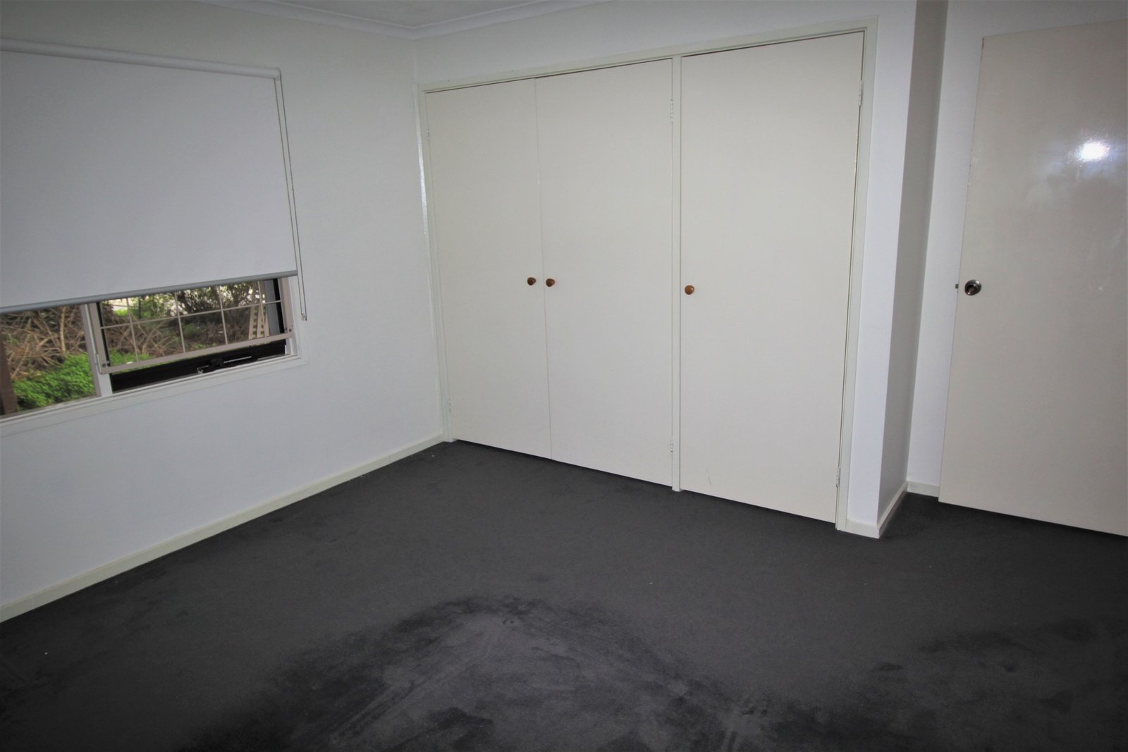 Gallery: 2/52 Station Street