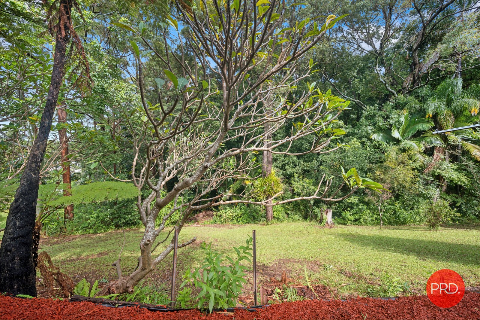 2/53-55 Reid Drive COFFS HARBOUR 11