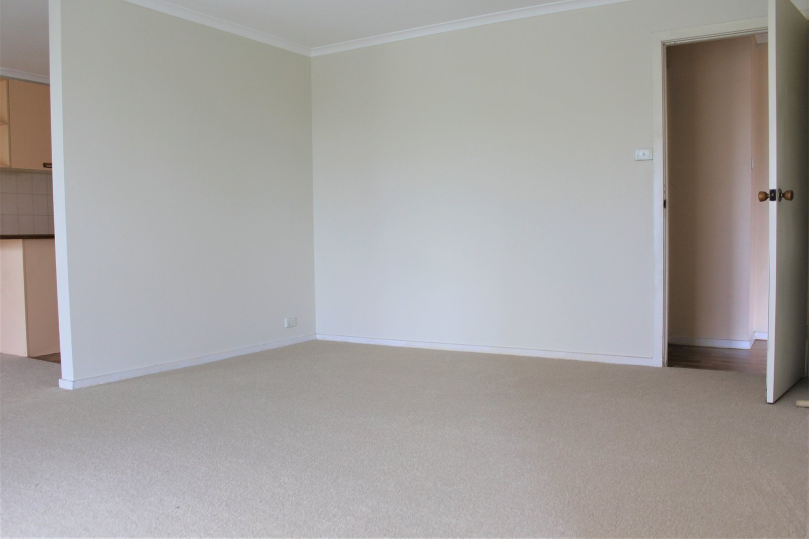 Gallery: 2/53 Albert Street