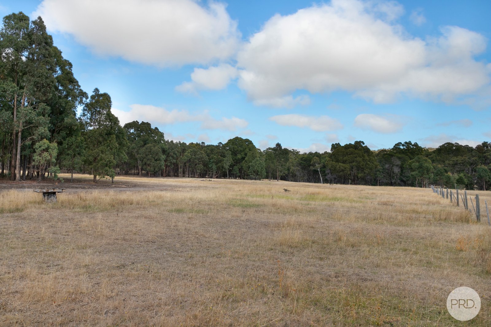253 Baldwins Road TRAWALLA 7