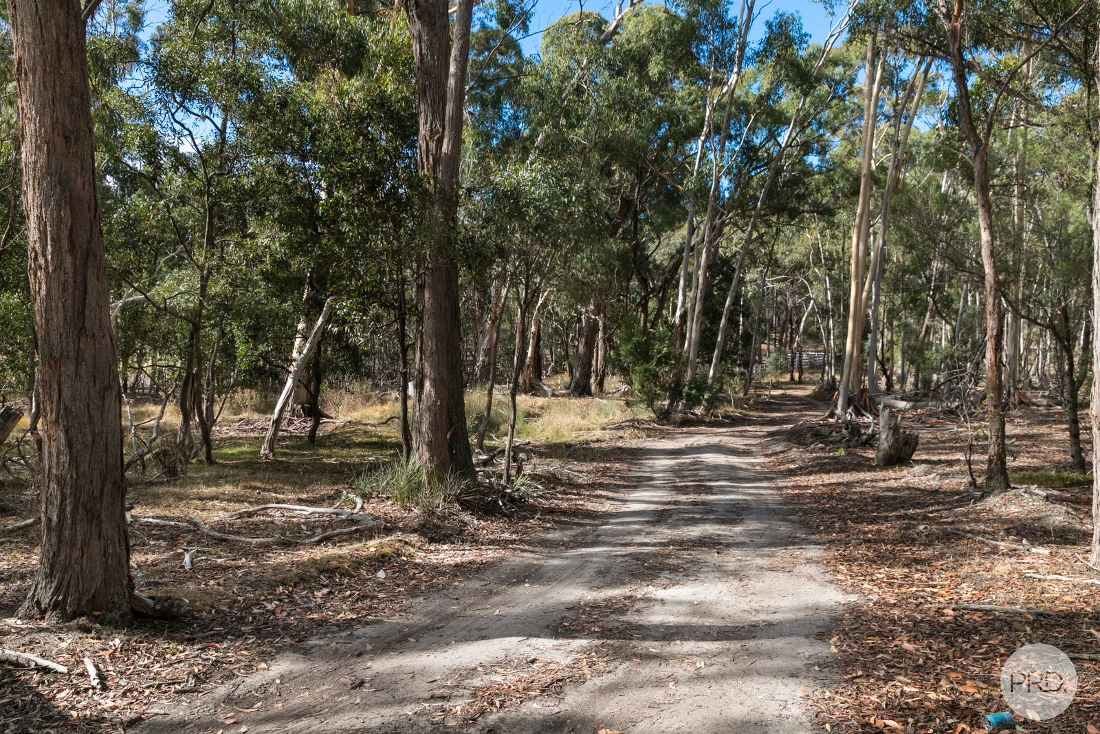 253 Baldwins Road TRAWALLA 11