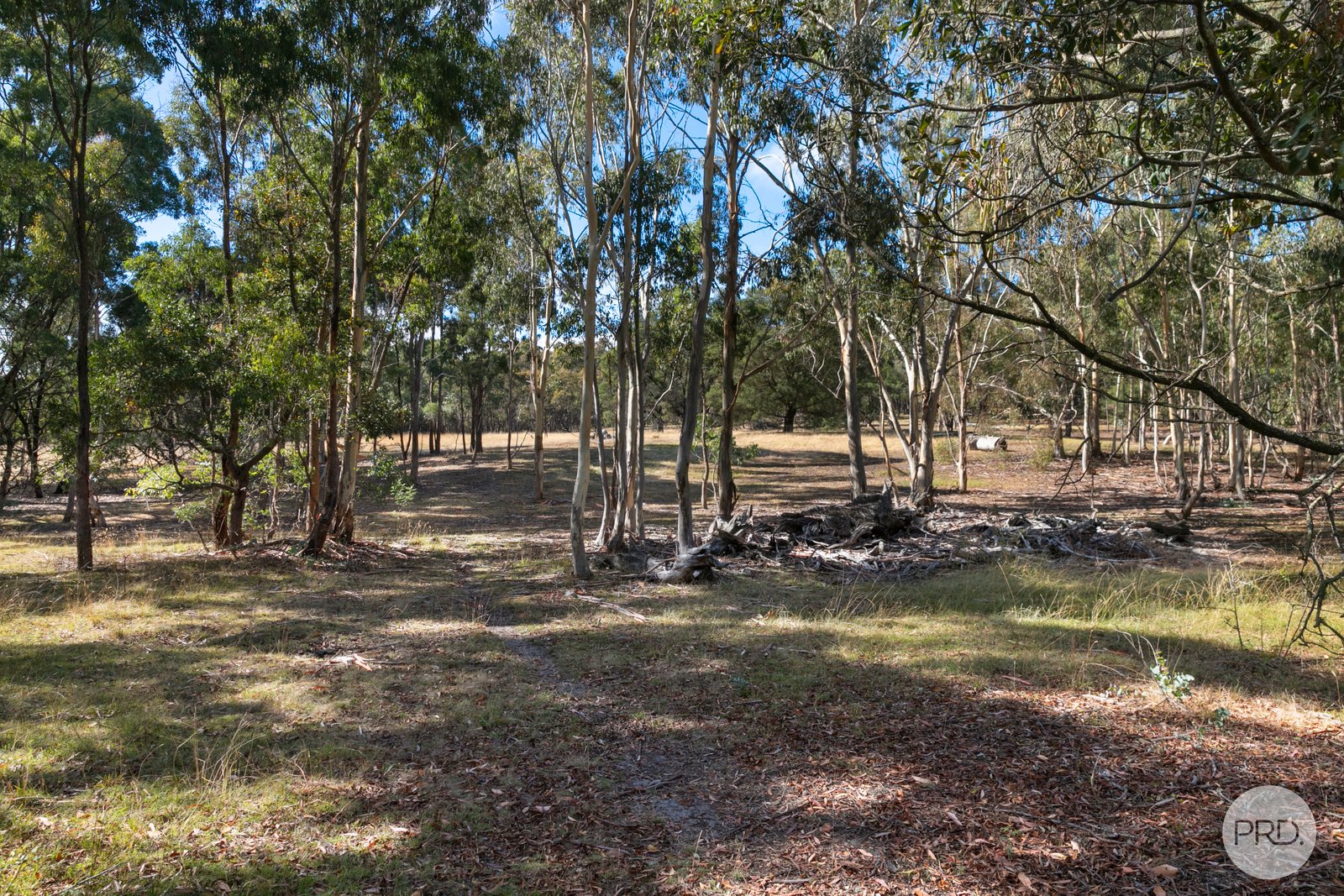 253 Baldwins Road TRAWALLA 12