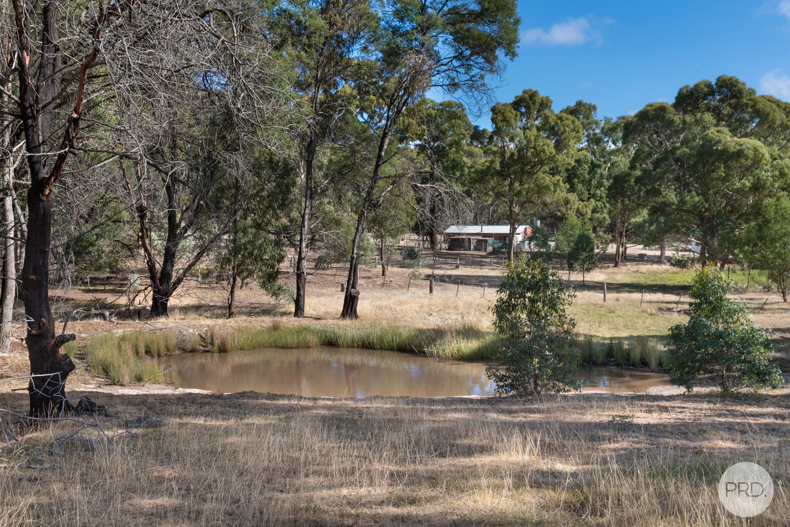253 Baldwins Road TRAWALLA 13