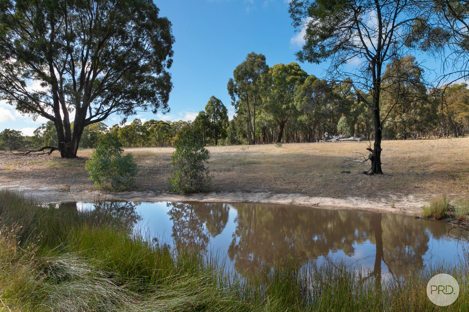 253 Baldwins Road TRAWALLA 14