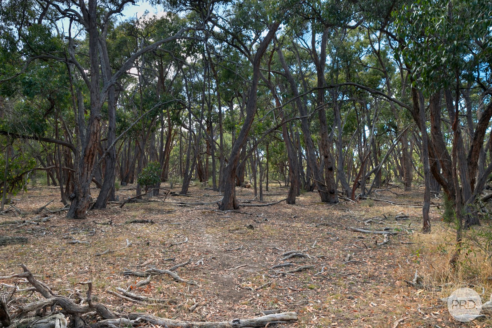 253 Baldwins Road TRAWALLA 15