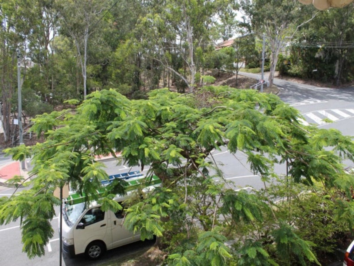 2/53 Connor Street BURLEIGH HEADS 7