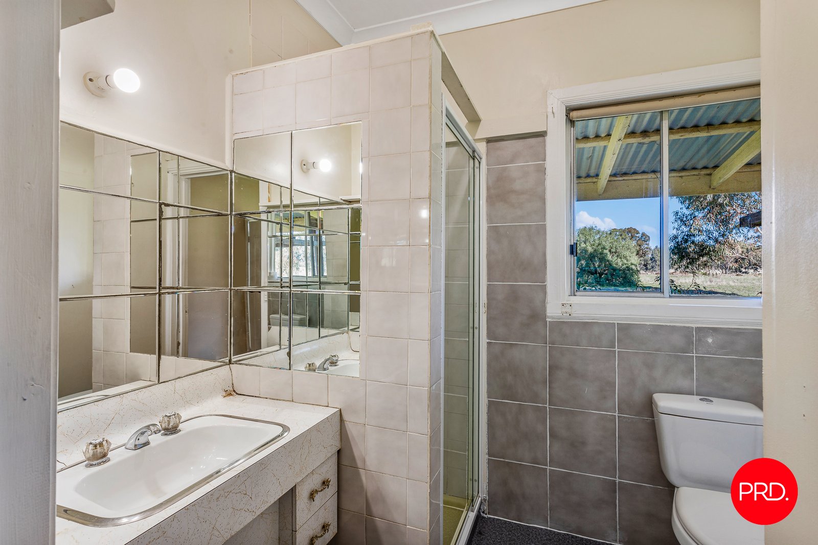 253 Scotts Road NEILBOROUGH 8