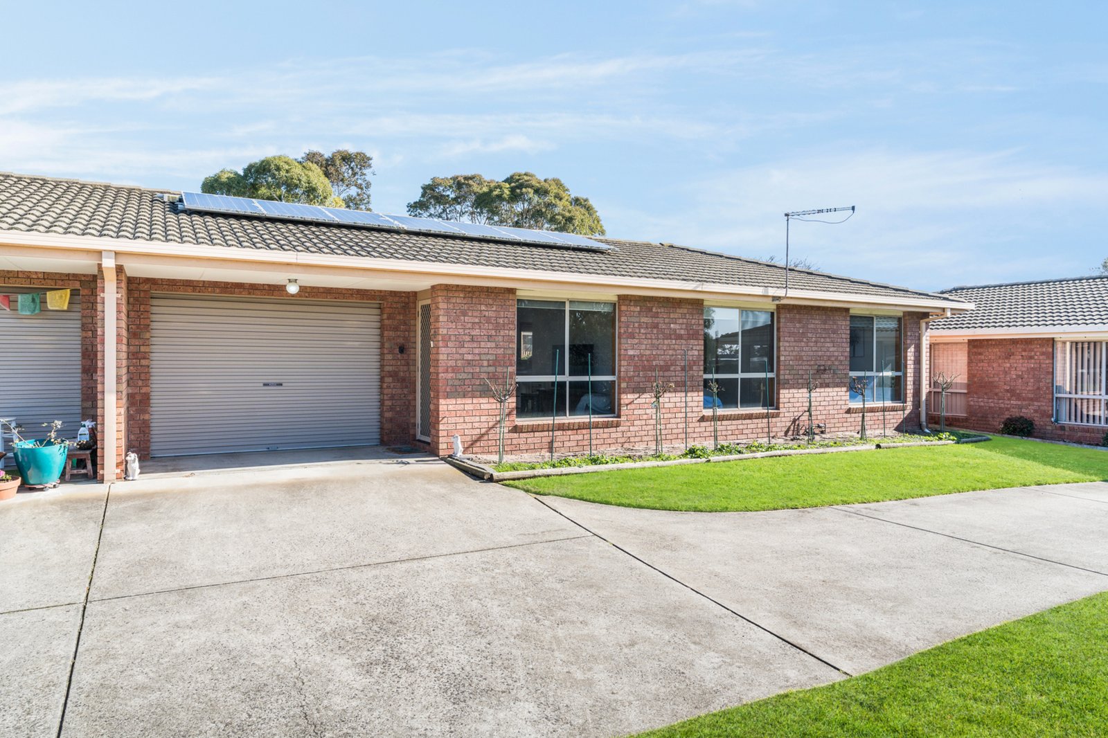 Gallery: 2/53 Stevens Street