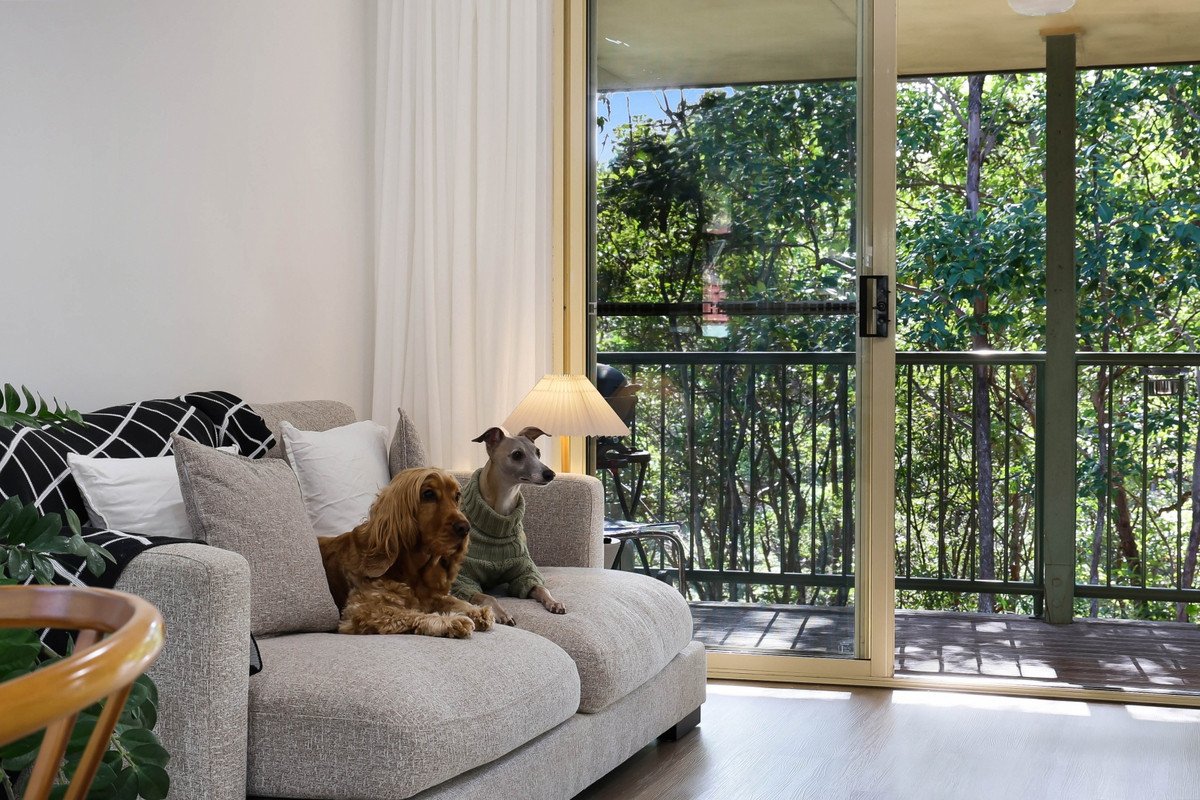 25/31 Simpsons Road Elanora 1