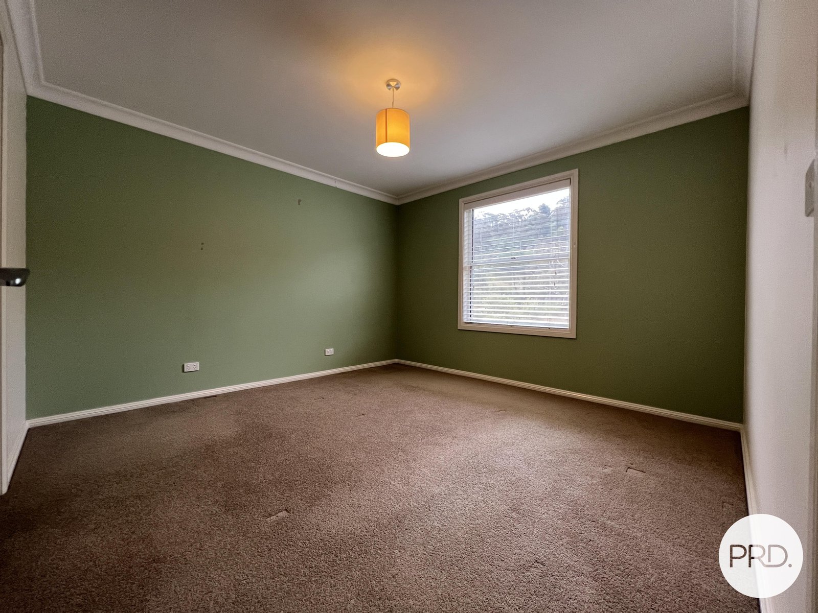 254 Foxlow Street CAPTAINS FLAT 7