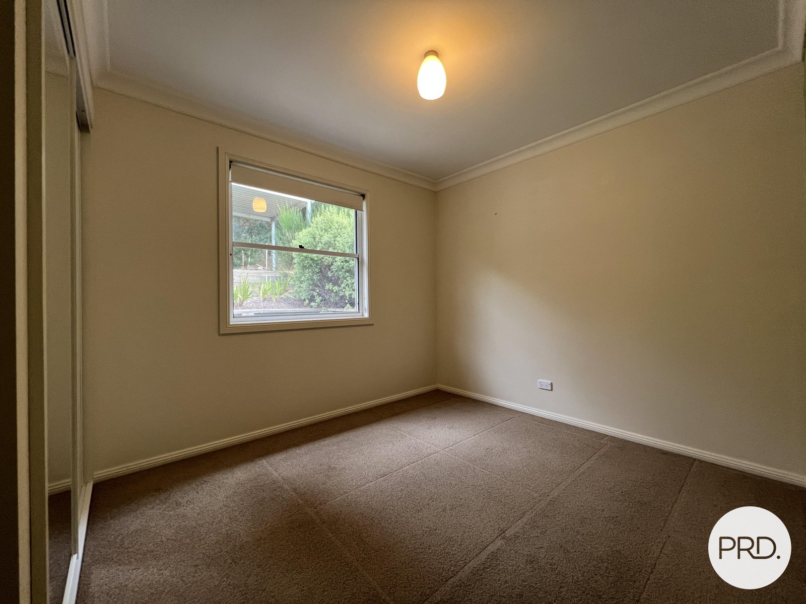 254 Foxlow Street CAPTAINS FLAT 10