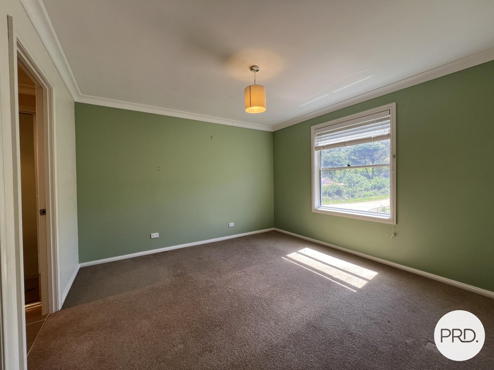 254 Foxlow Street CAPTAINS FLAT 9